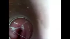 Oynat 8 inç cam yapay penis onu damlayan ıslak kedi yakın çekim ev yapımı video doldurmak